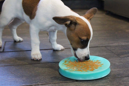 Reward Suction Cup Pet Dish - 6"