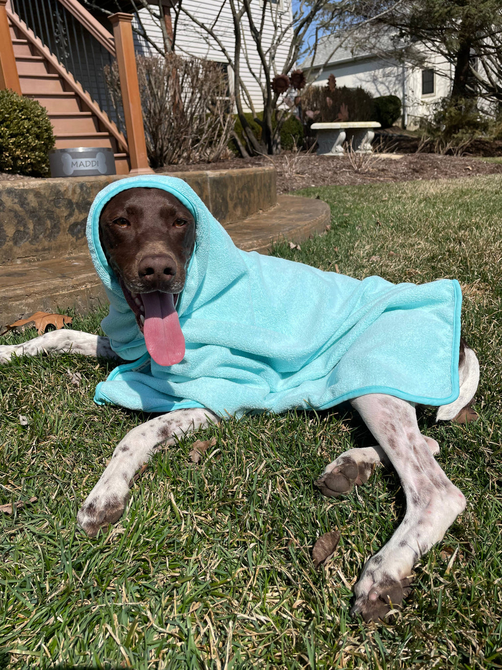 Tall Tails Terry Pup Cape