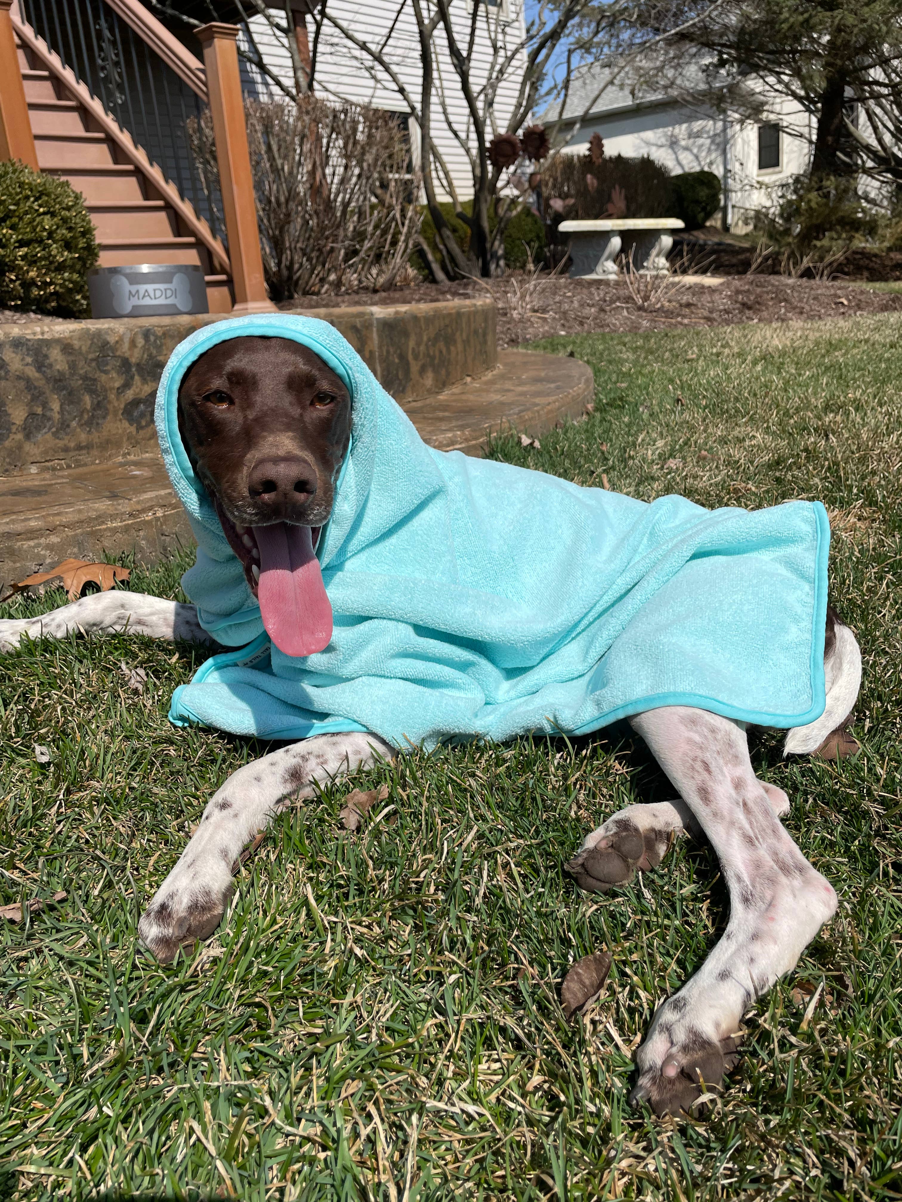 Tall Tails Terry Pup Cape