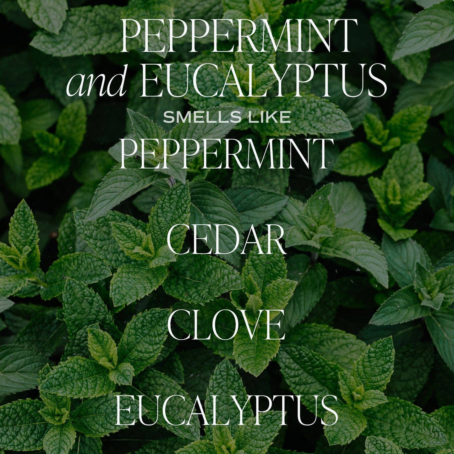 Peppermint and Eucalyptus 9oz Candle