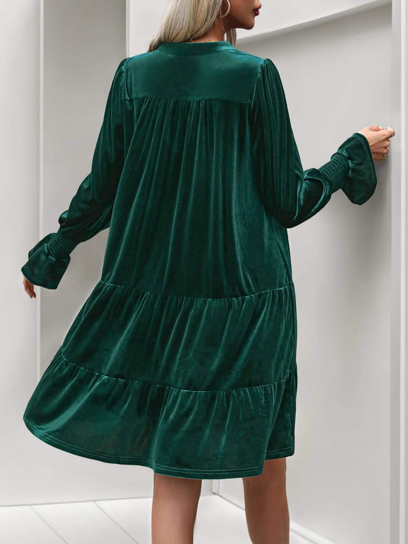 Velvet Long Sleeve V-Neck A-Line Dress