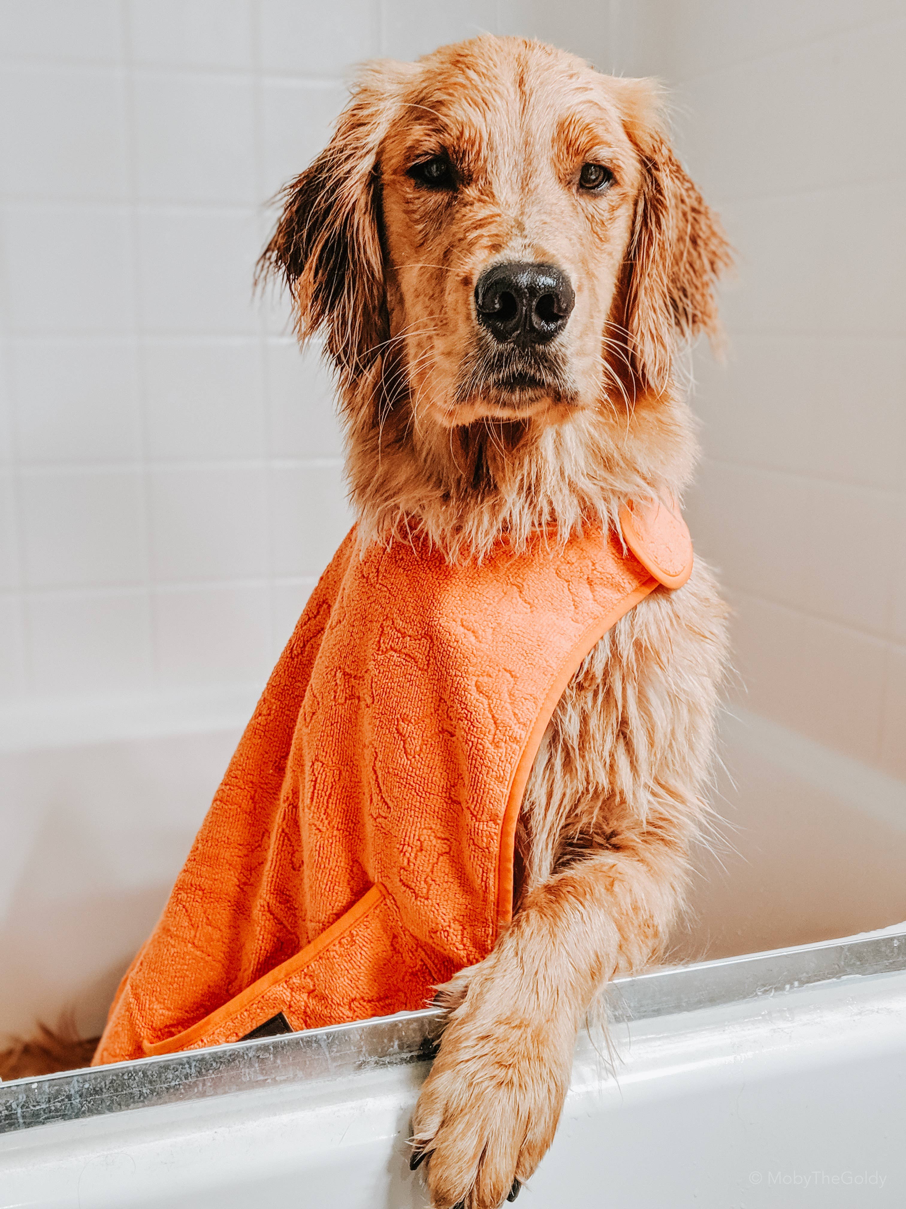 Tall Tails Terry Pup Cape