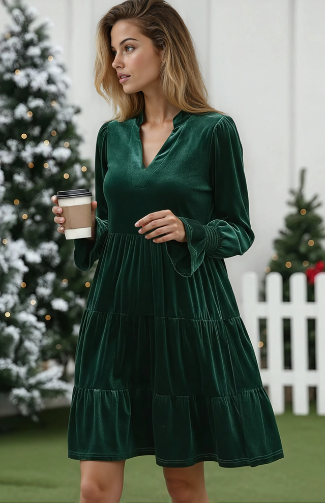 Velvet Long Sleeve V-Neck A-Line Dress